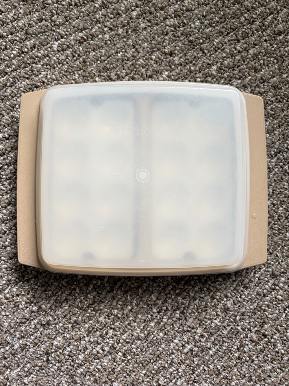 Vintage TUPPERWARE Deviled Egg Keeper Carrier Storage Holder Beige